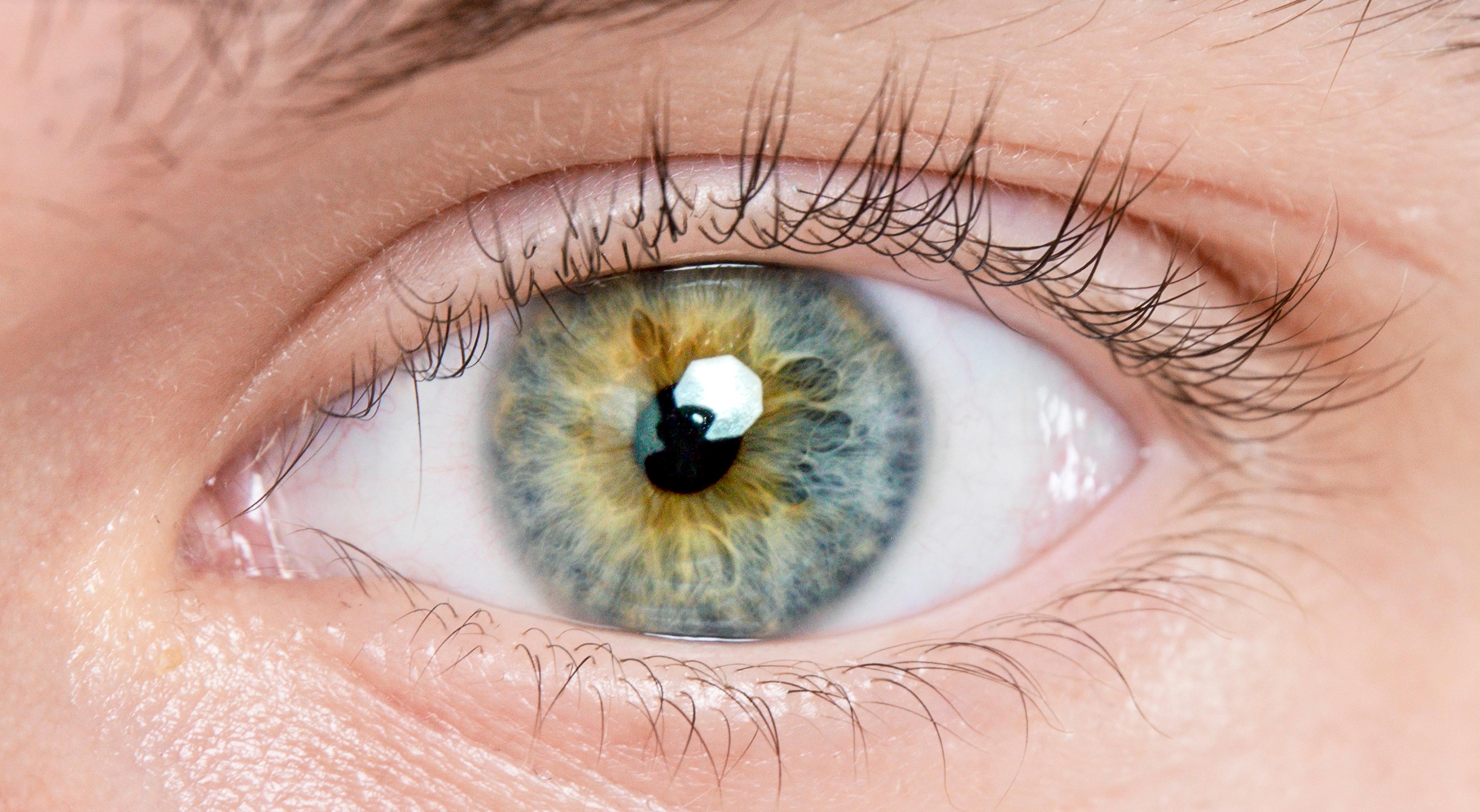 Next Level Retina | Eye Injections, Macular Hole and Macular Degeneration